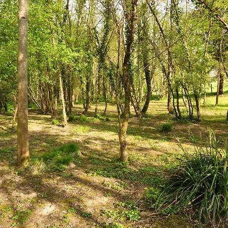 L'atelier * Sainte-Marie-du-Lac-Nuisement